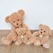 Мягкая игрушка мишка Ours en Peluche Beige, 27 см, Histoire d'Ours HO2873, фото 3
