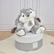 Мягкая игрушка зайчик Lapin Marius - Gris chaud, 30 см, Histoire d'Ours HO2061, фото 2