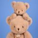 М'яка іграшка ведмедик Cl&eacute;mentin Beige, 38 см, Histoire d'Ours HO3386, фото 8
