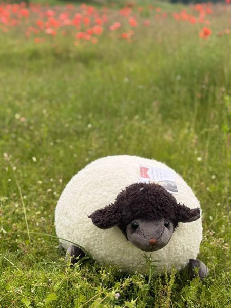 Мягкая игрушка овечка Sweet Black Sheep, 35 см, Bukowski Design 23072 - купить, цена